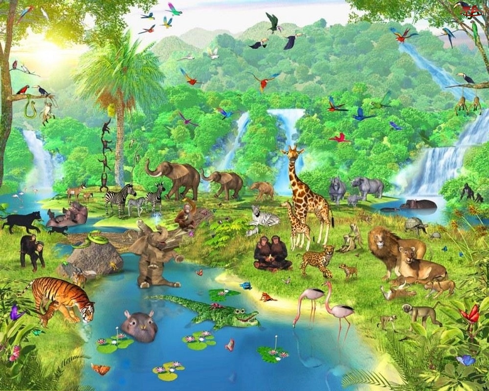 Zwierzęta, Dżungla, Afrykańska