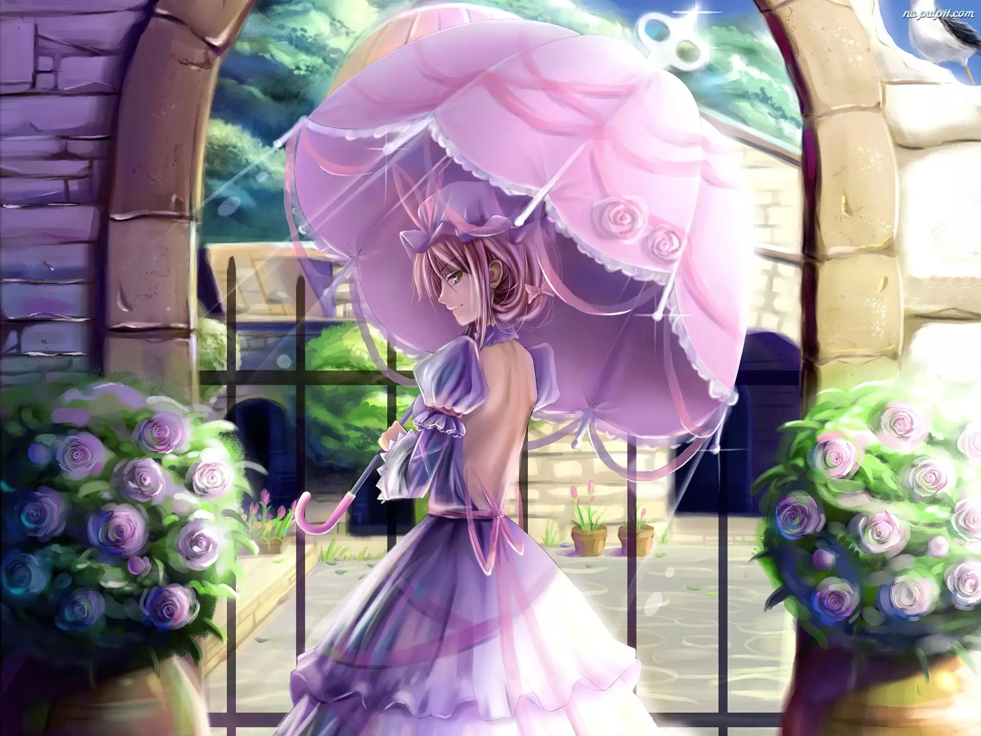 Parasol, Dziewczyna, Różowy