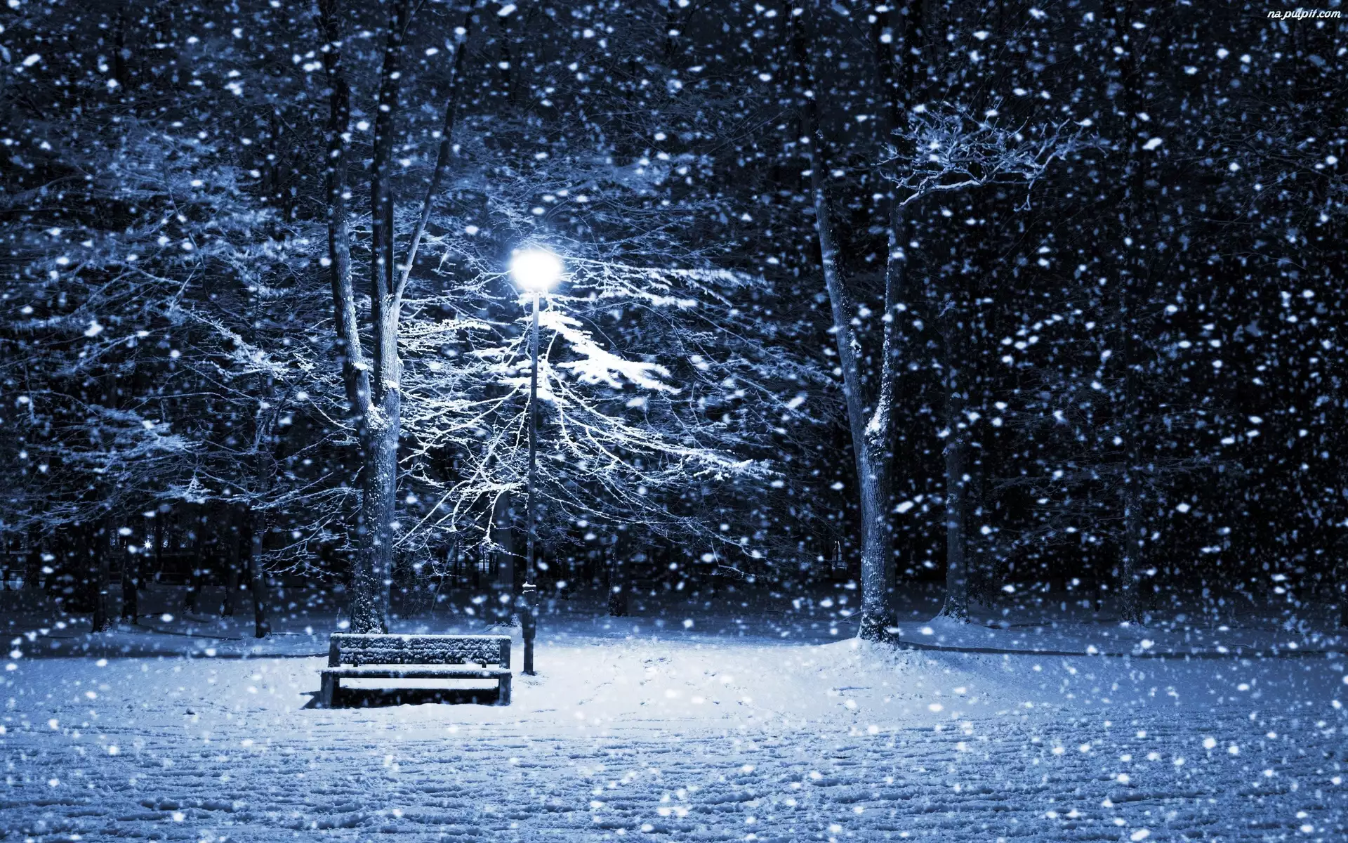 Drzewa, Ławka, Śnieg, Zima