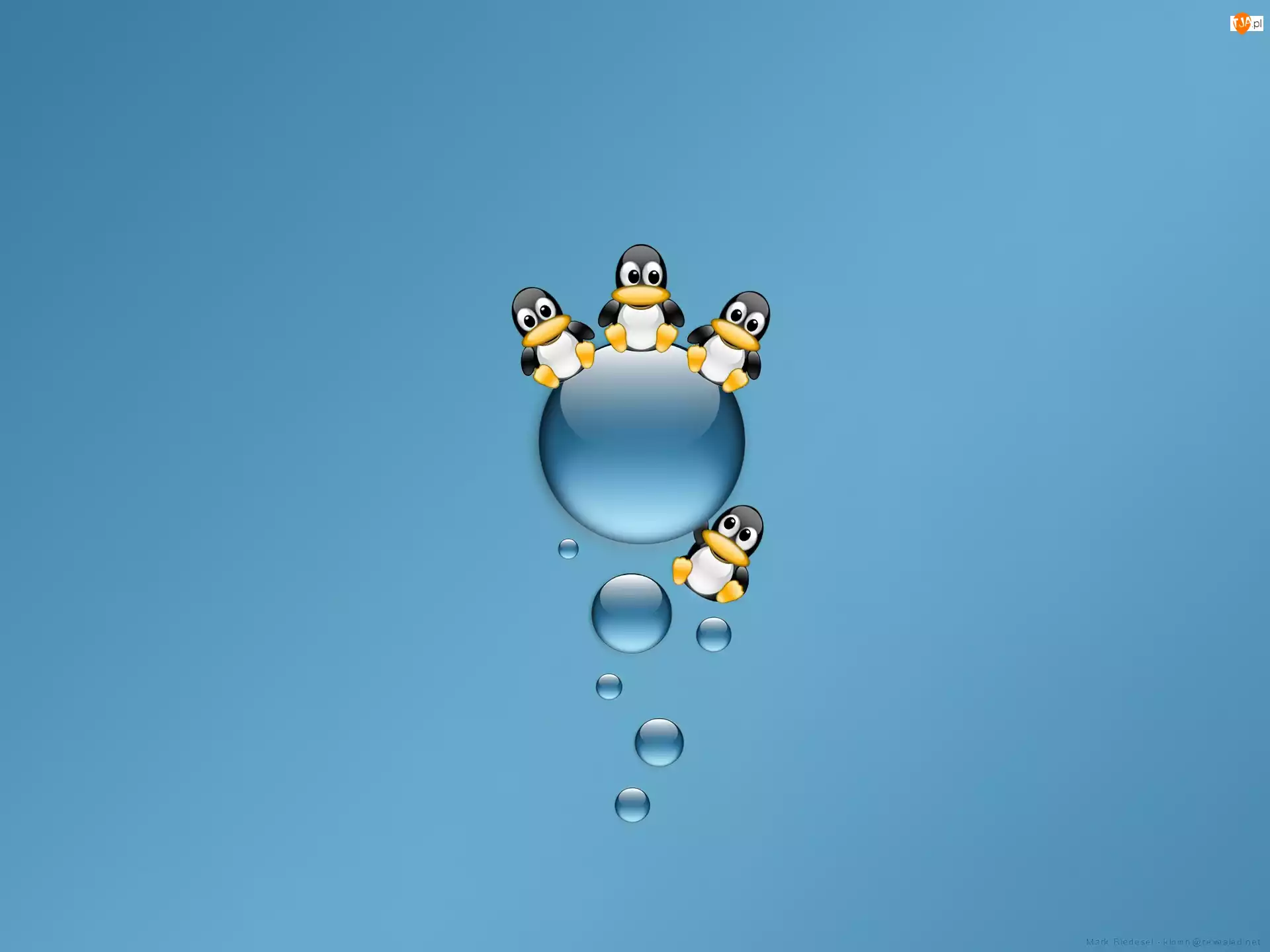 Wody, Pingwinki, Kropelki