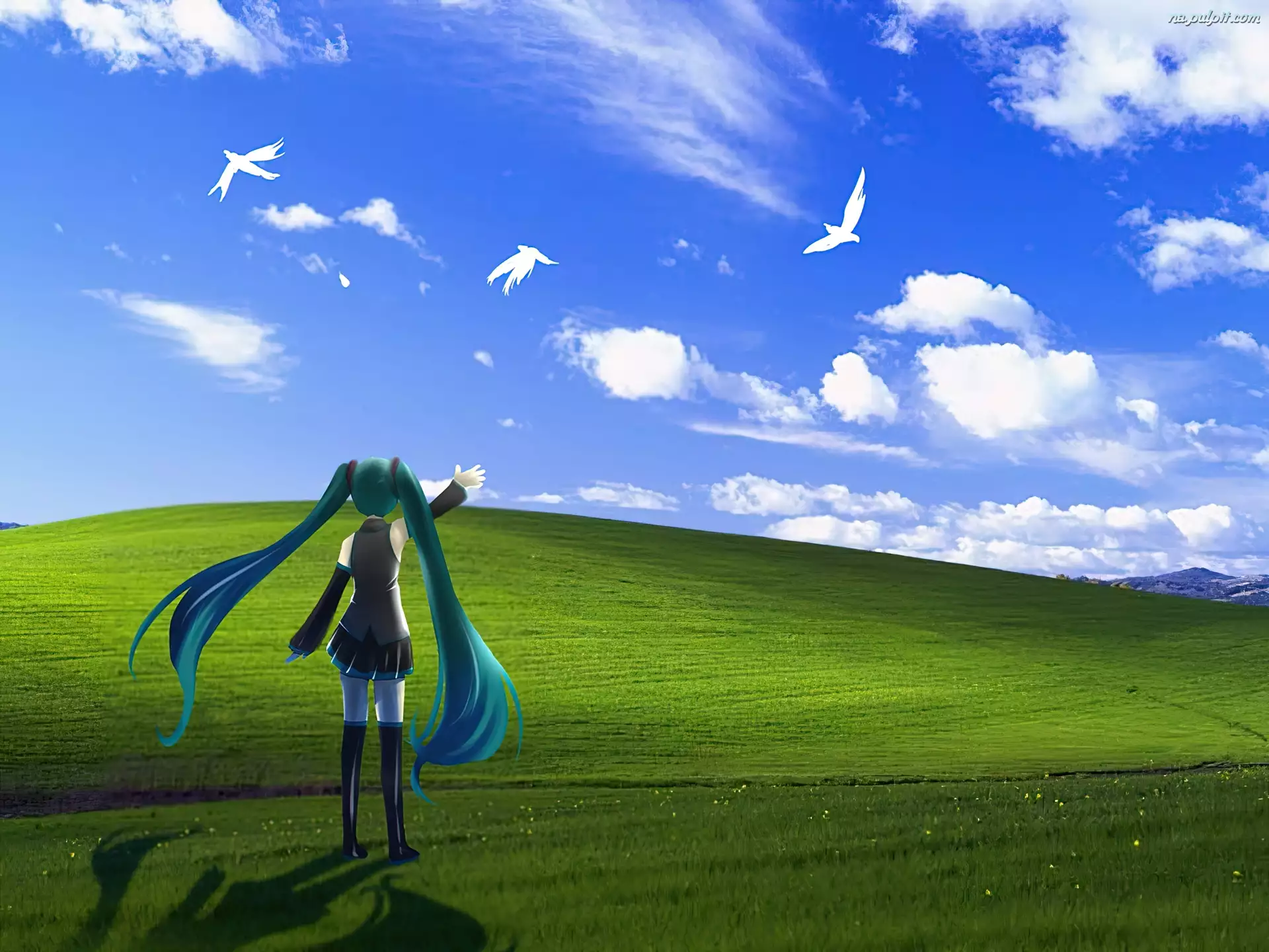 Ptaki, Miku Hatsune, Vocaloid, Windows XP
