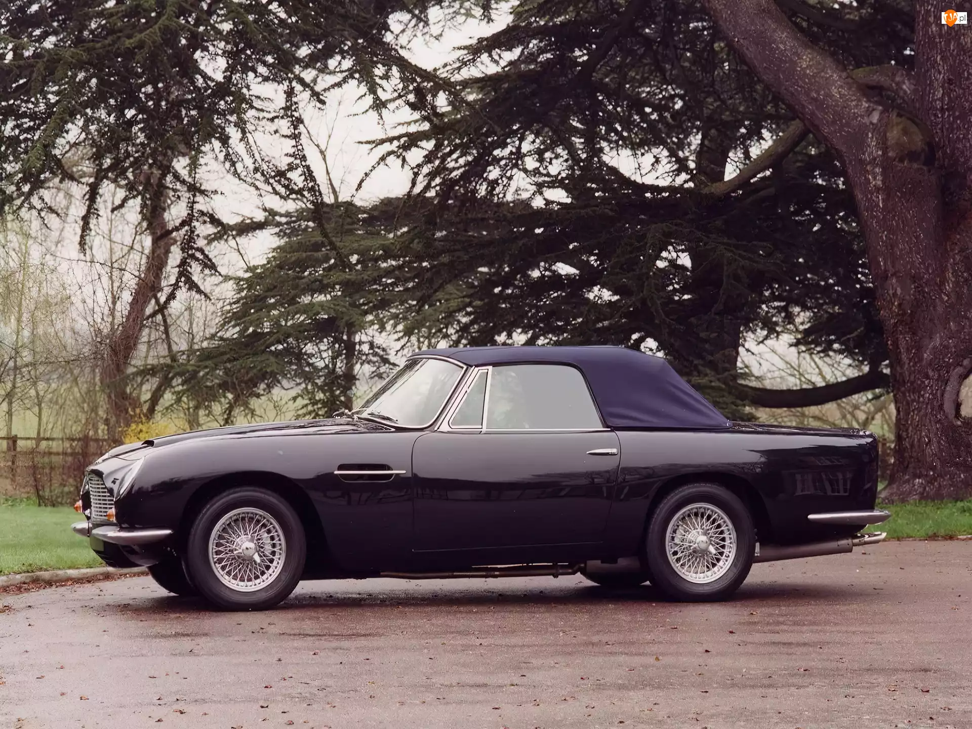 Volante, Bok, Samochodu, Aston Martin DB6