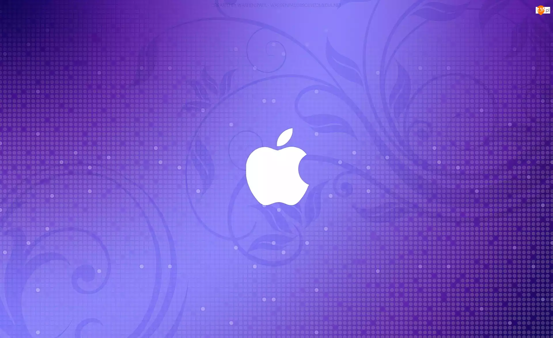 Logo, Tło, Apple, Fioletowe