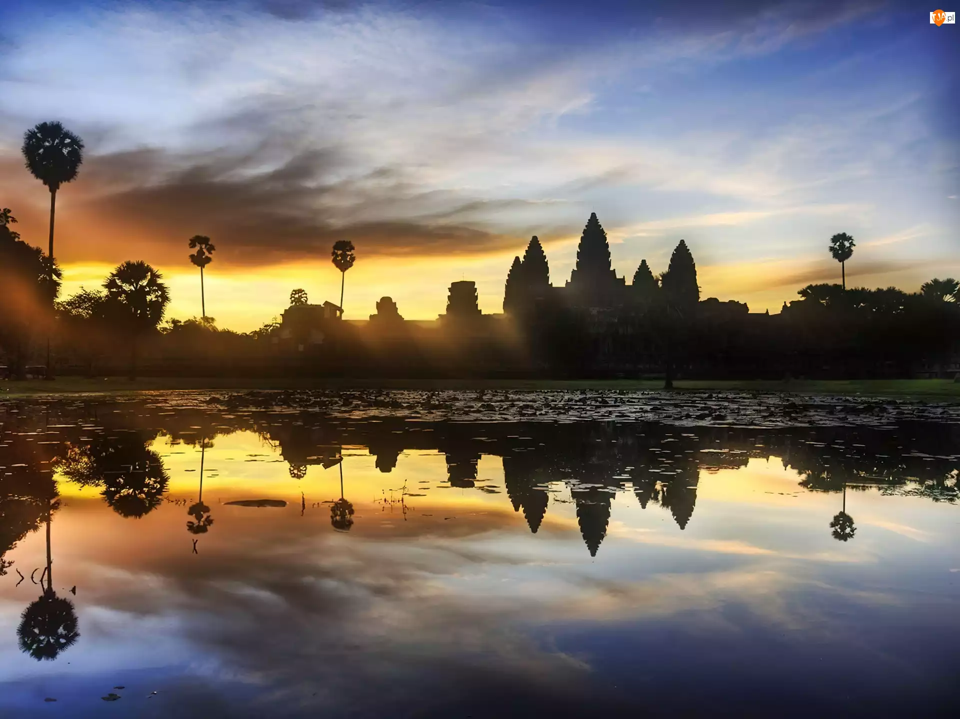 Kambodża
, Świątynie, Angkor, Dżungla