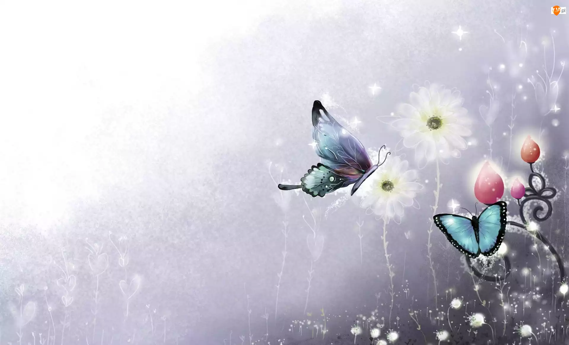Grafika 2D, Motyle, Kwiaty