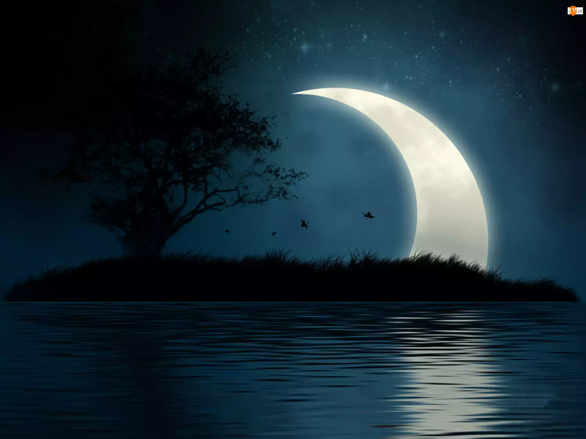 Księżyc, Woda, Noc
