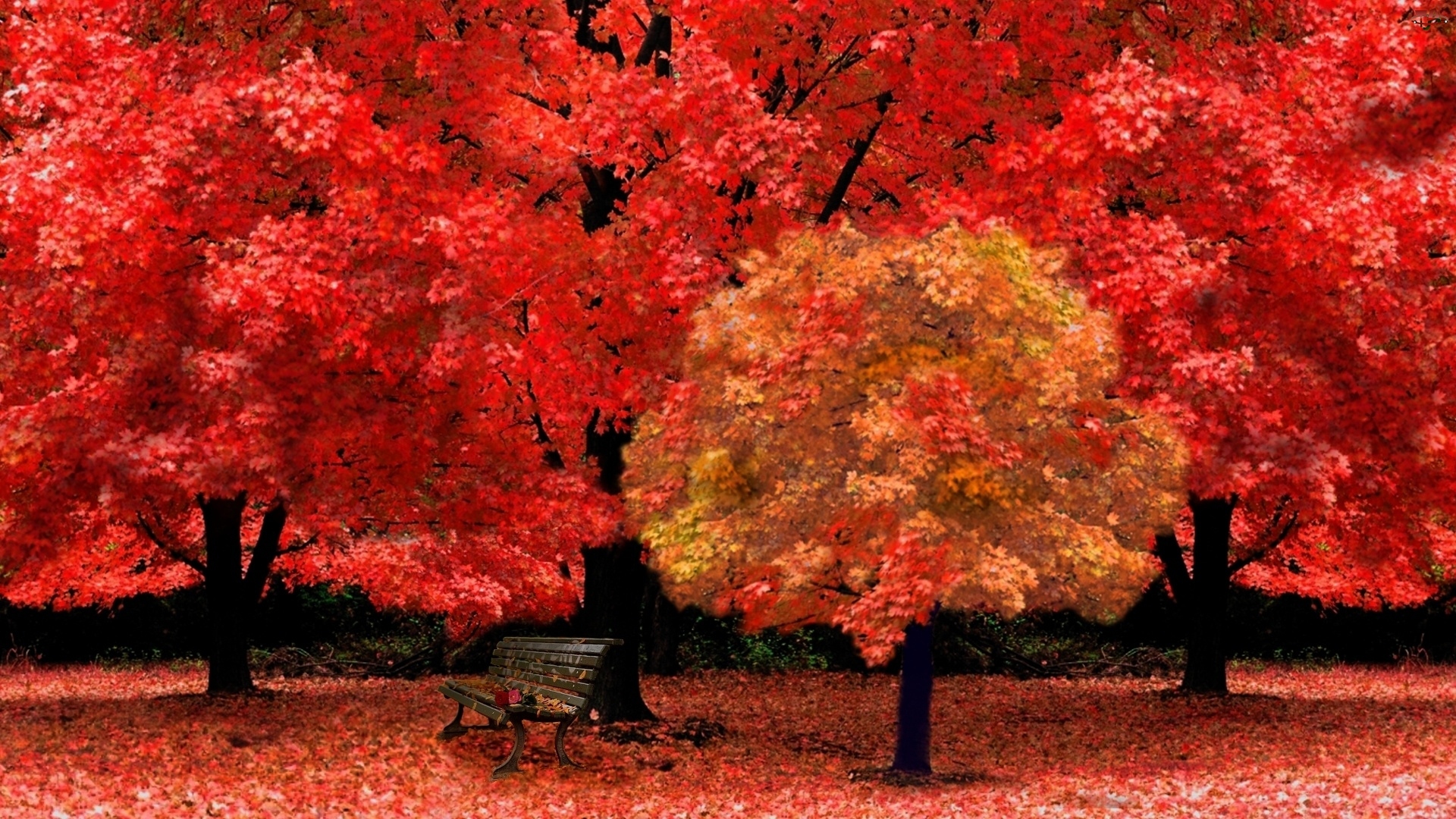 Jesień, Ławeczka, Czerwone, Drzewa