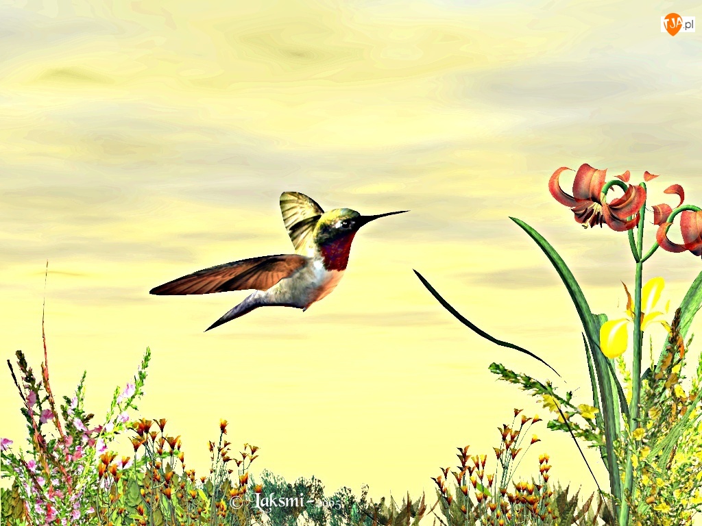 3D, Koliber, Kwiaty