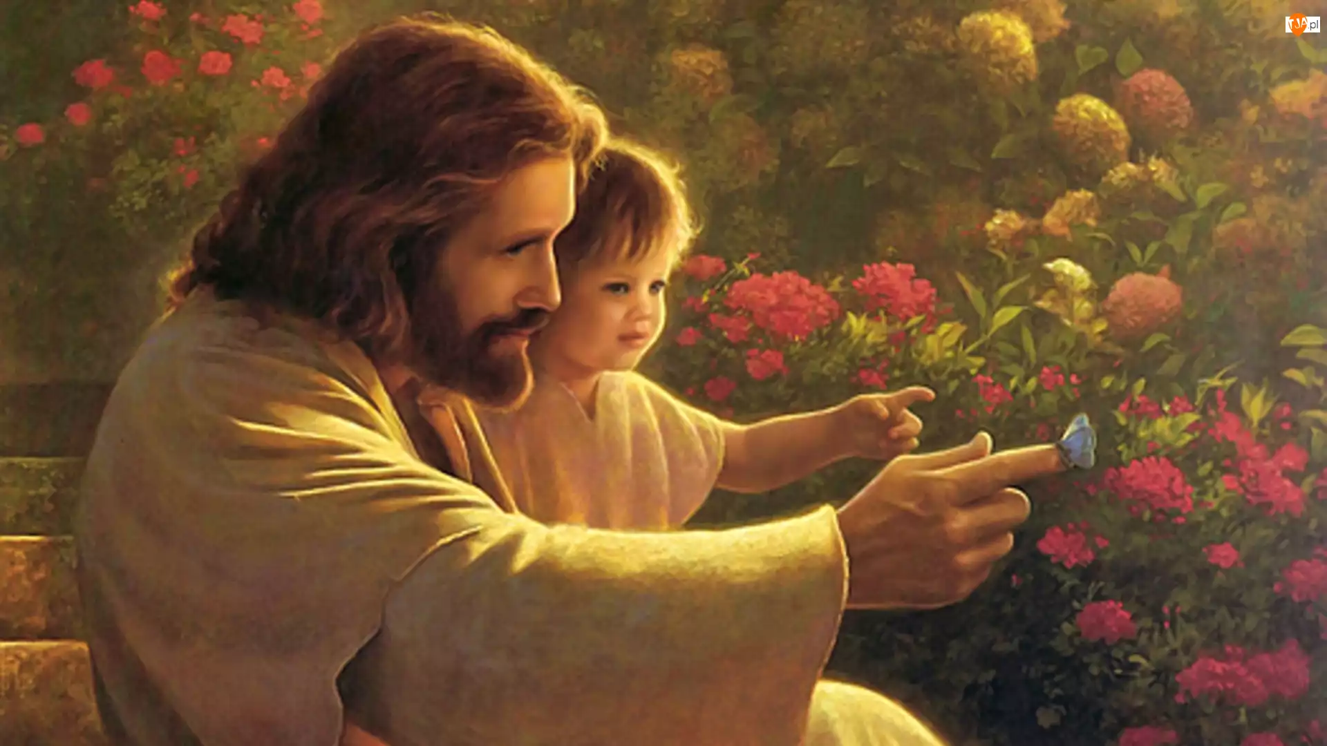 Jezus, Kwiaty, Dziecko, Motyl