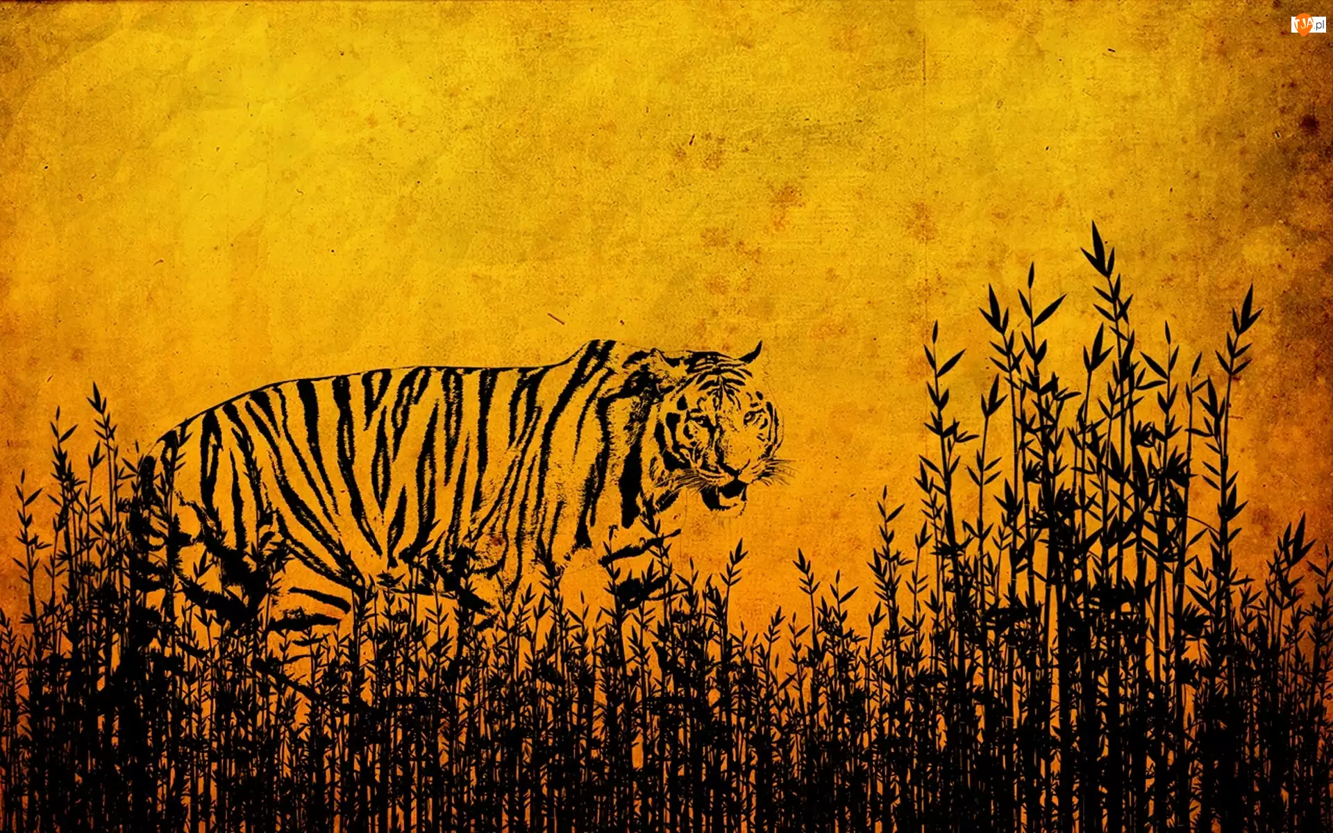 Rysunek, Tygrys