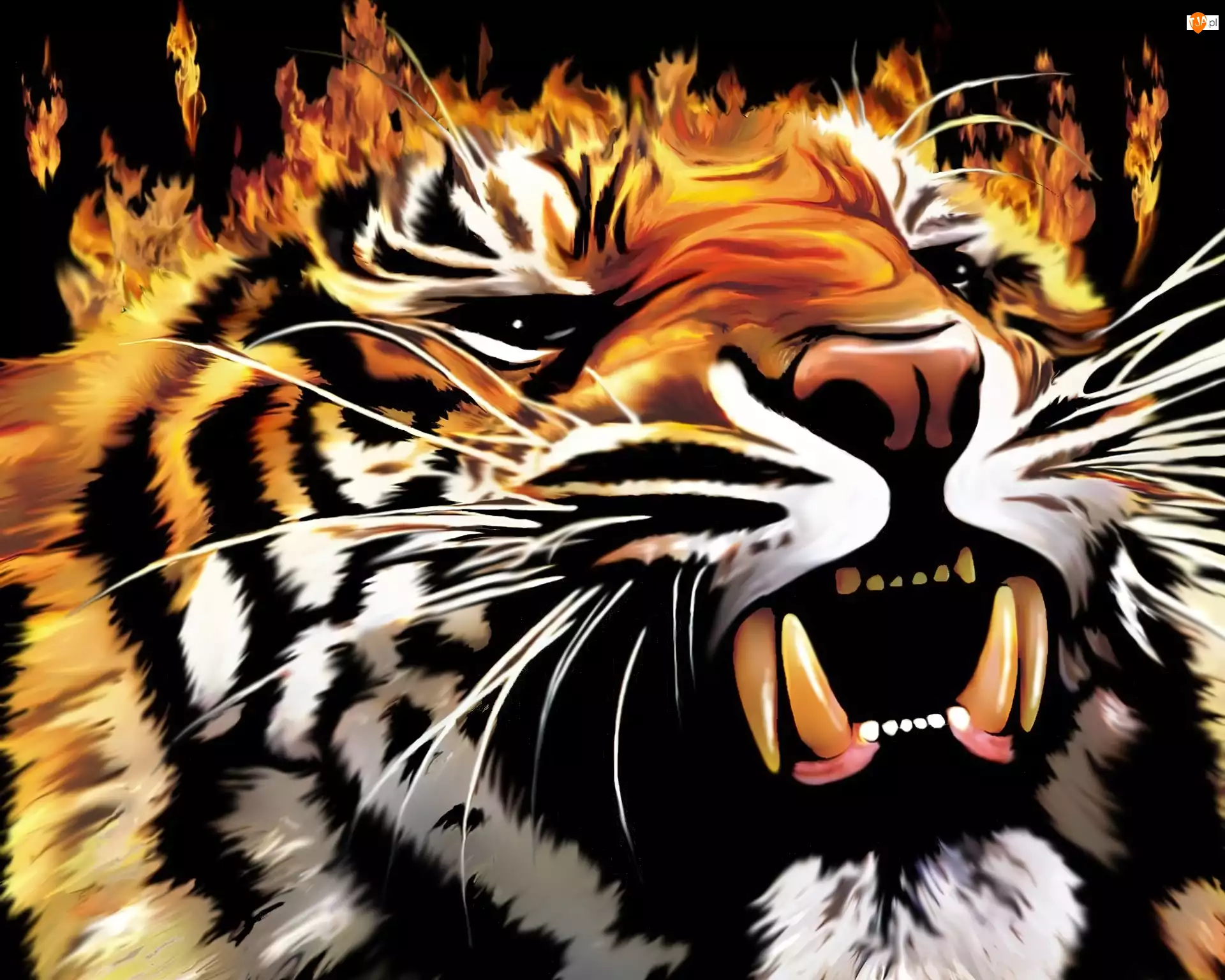 Ogień, Tygrys