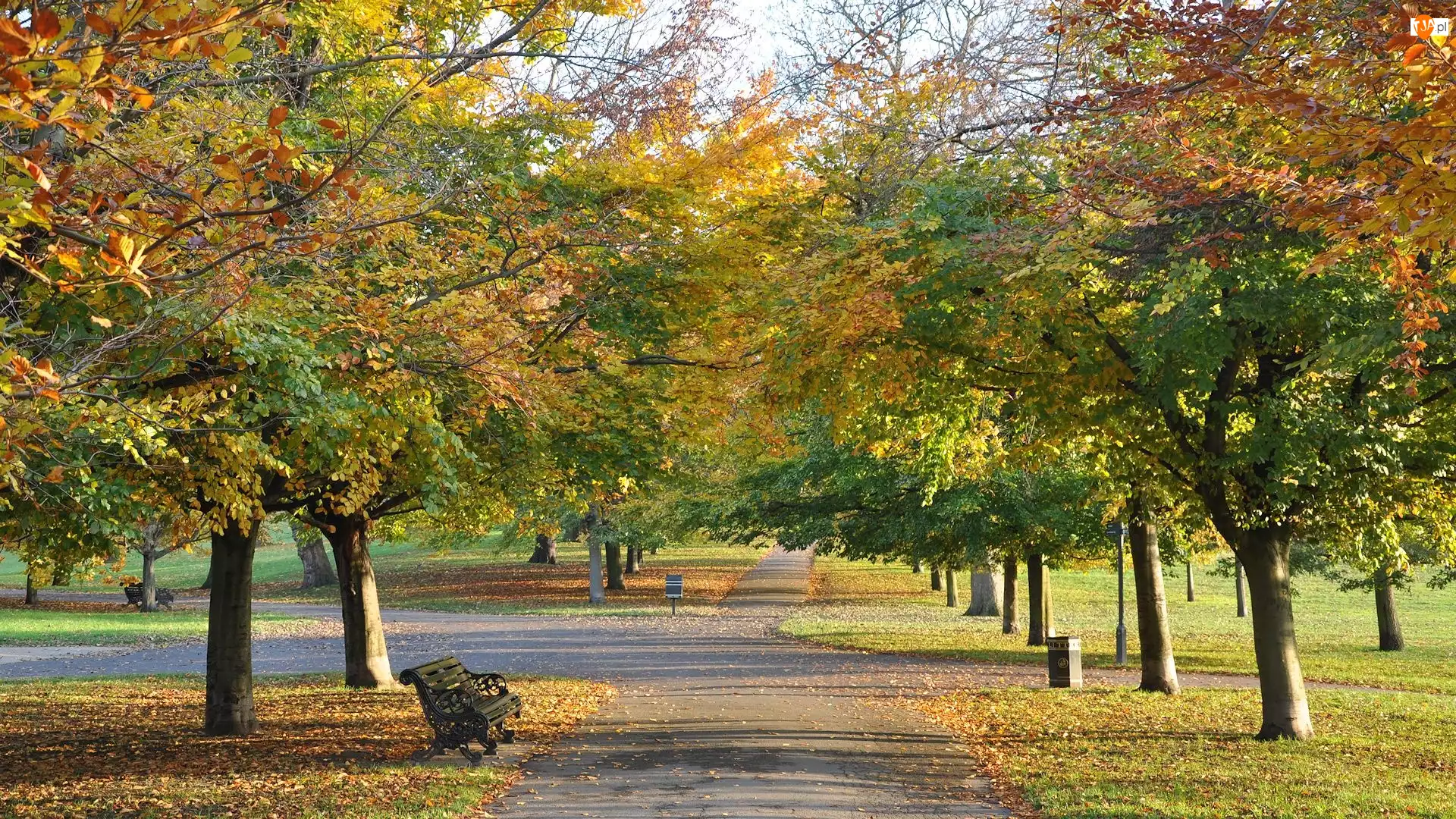 Ławki, Jesień, Kolorowe, Park, Drzewa