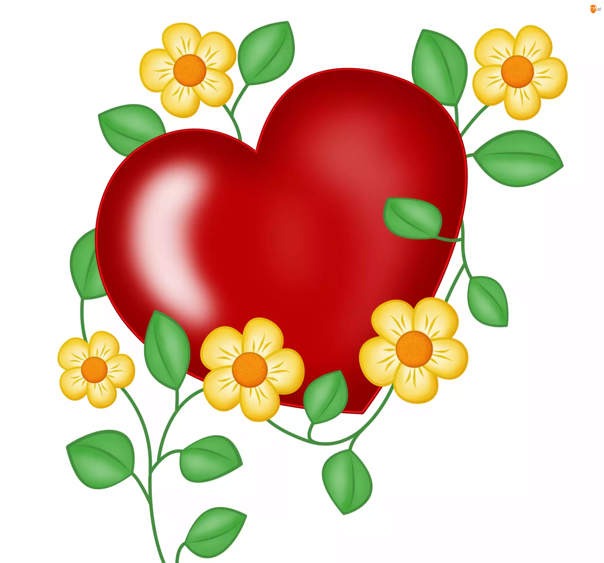 Czerwone, Miłość, Serce, Kwiatki