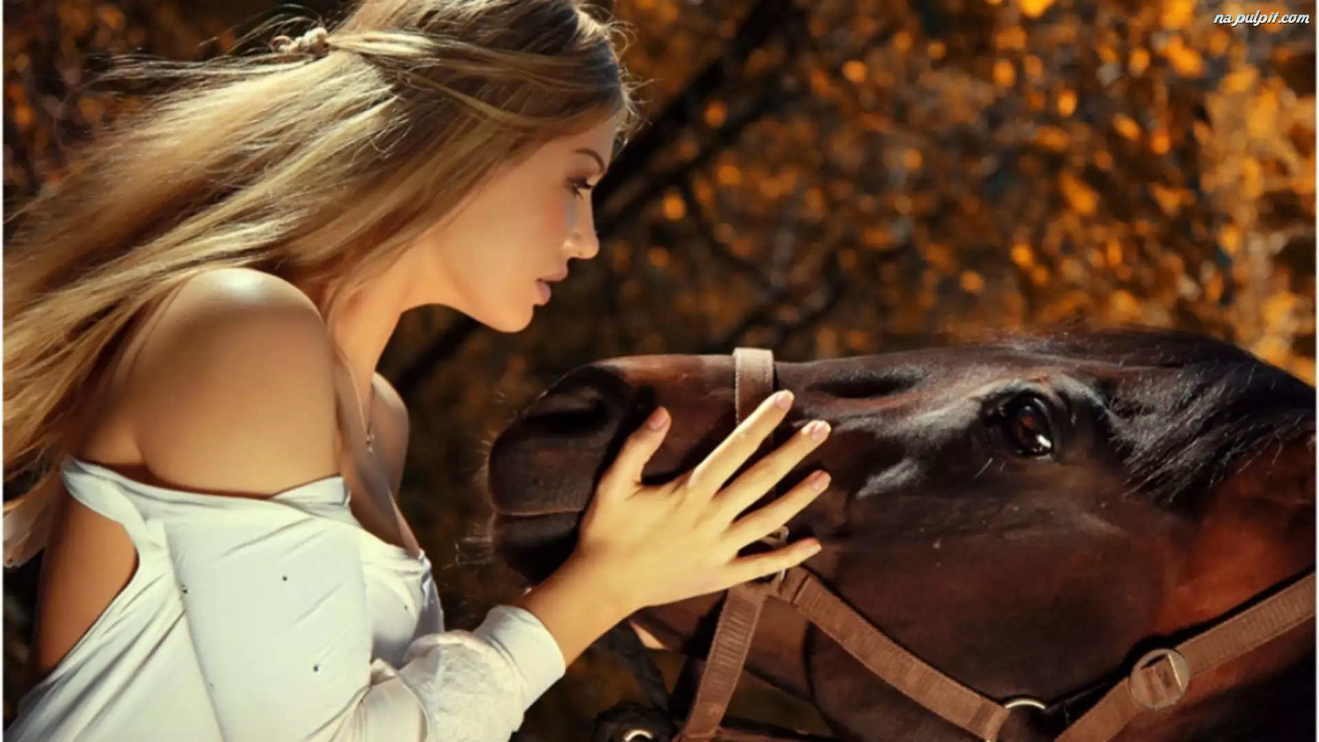 Przyjaciel, Dziewczyna, Koń