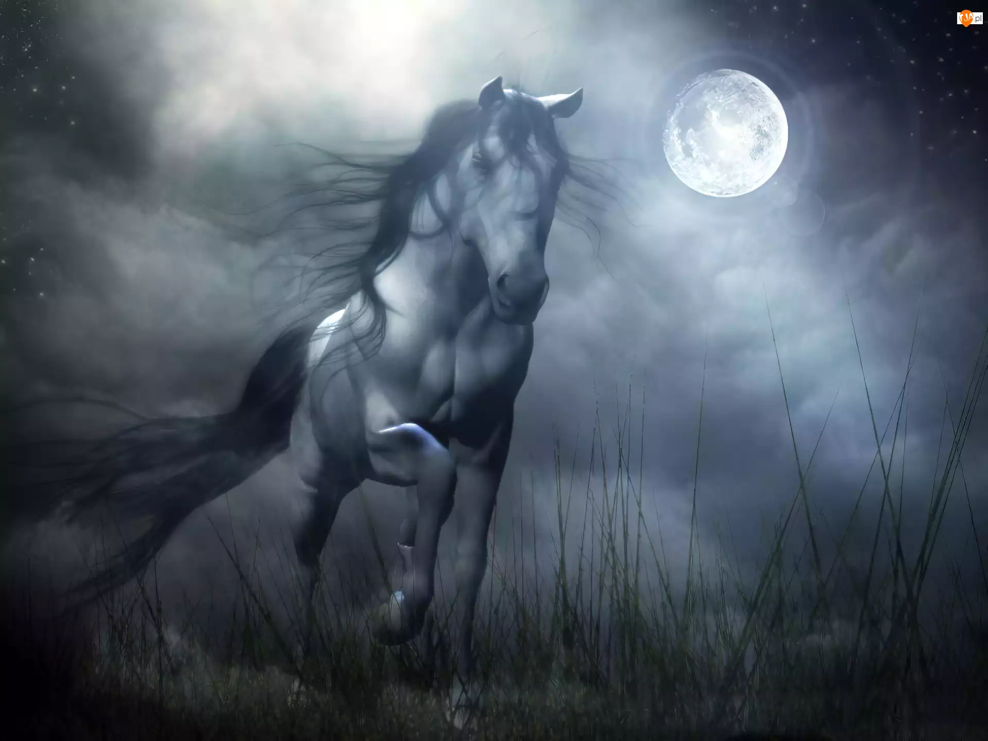 Galop, Noc, Księżyc, Koń