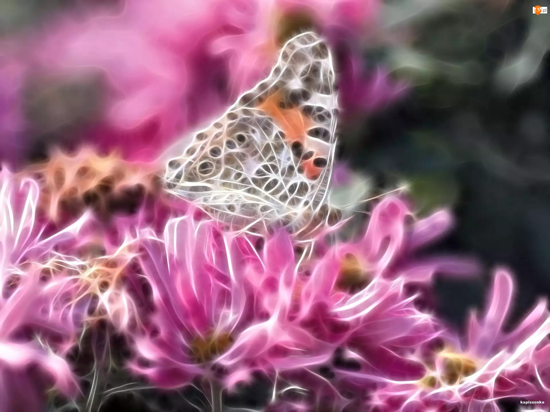 Fractalius, Kwiaty, Motyl