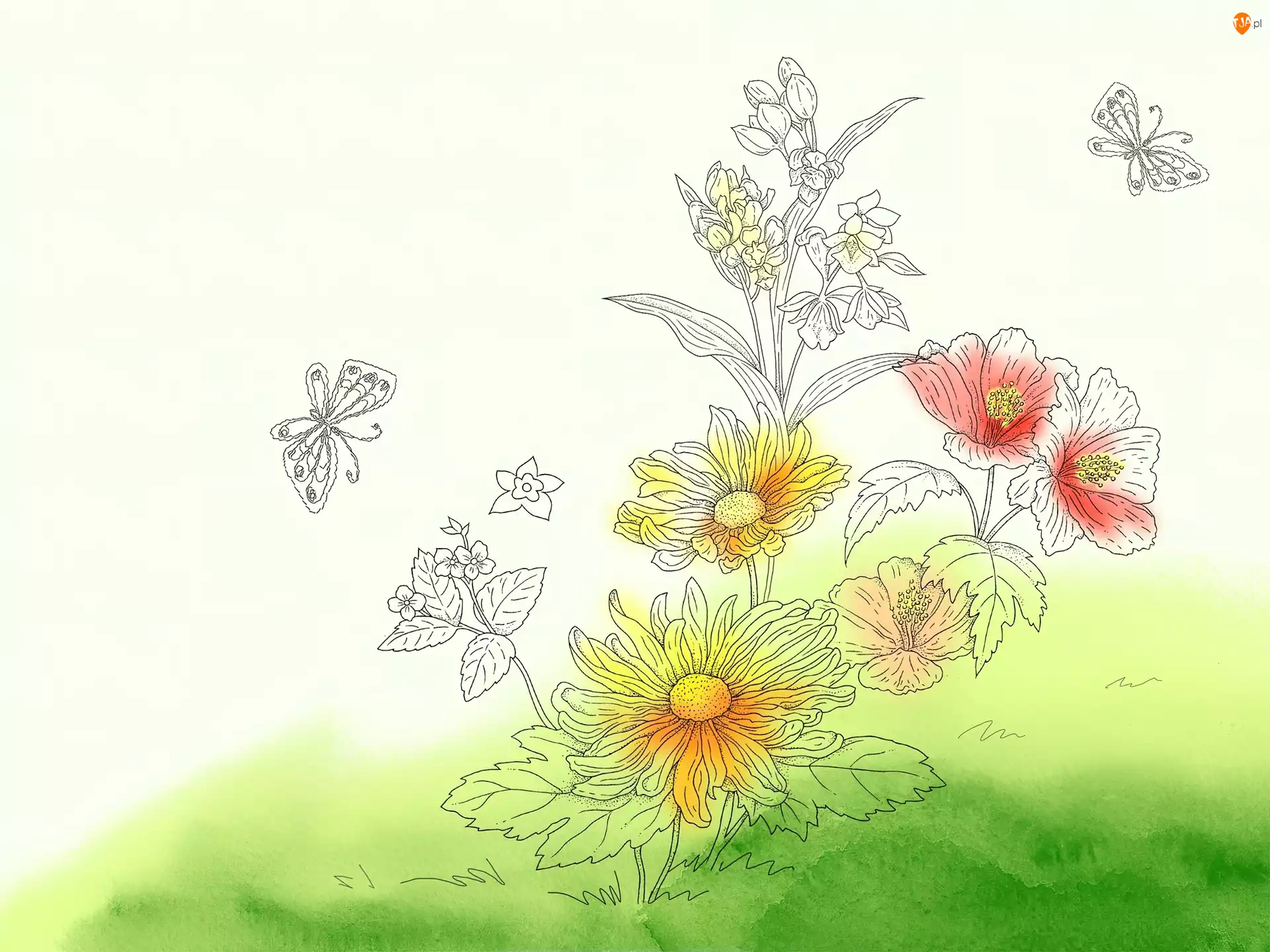 Różne, Rysunek, Kwiatki, Motyle