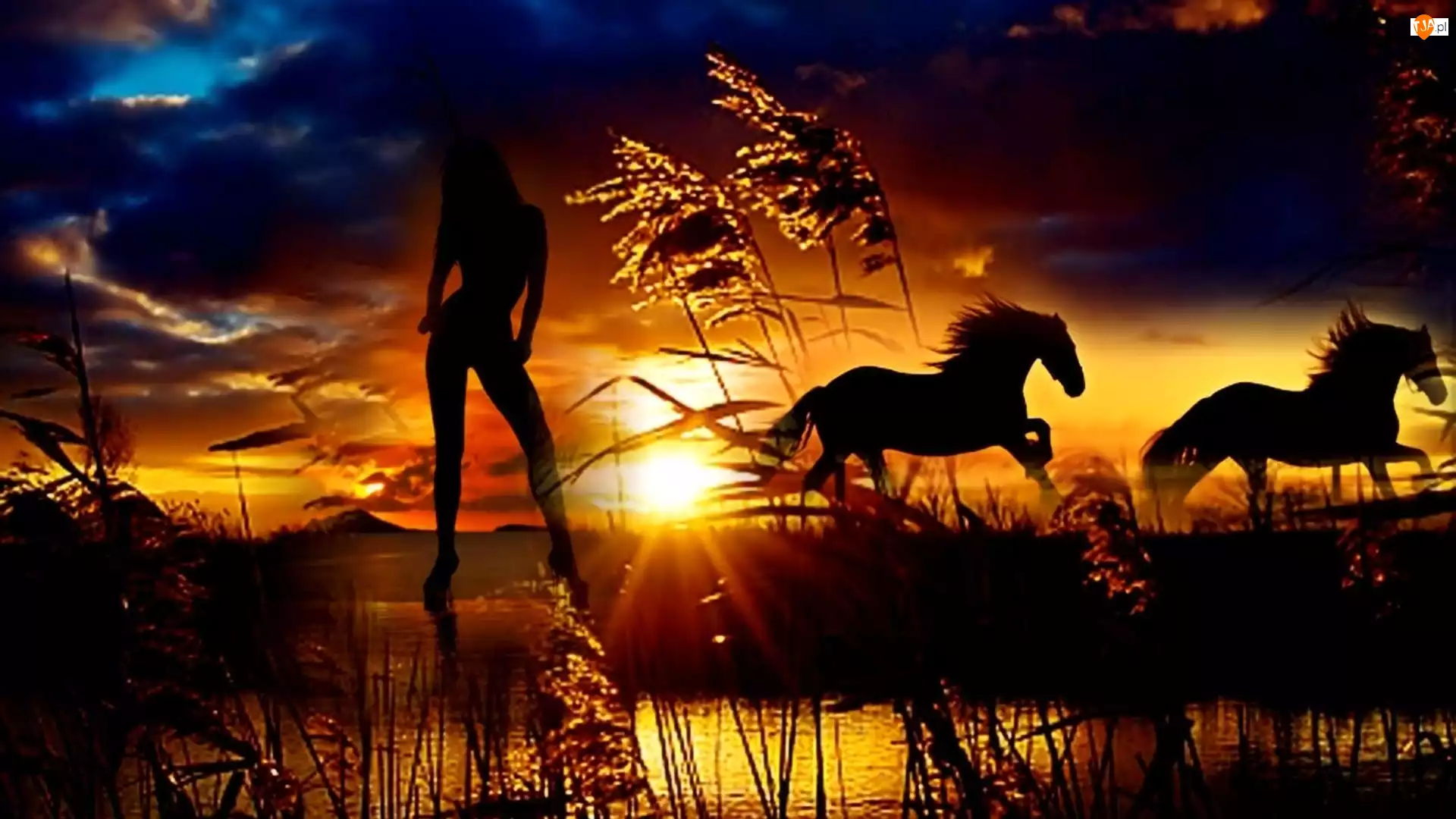 Konie, Kobieta, Zachód, Słońca
