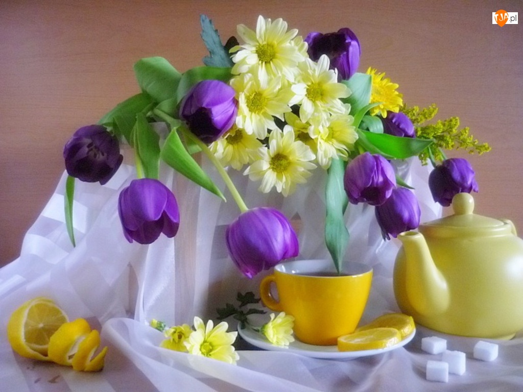 Dzbanek, Kwiaty, Fioletowe, Tulipany