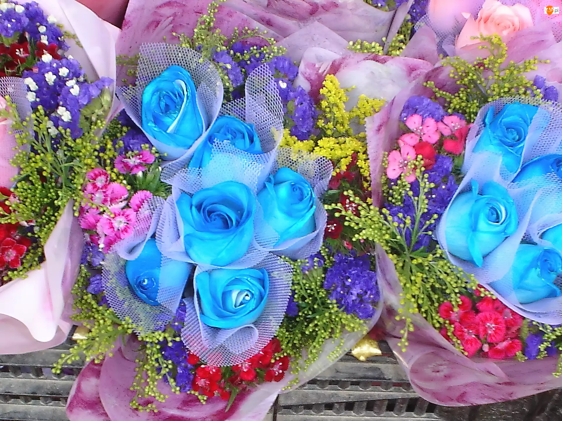 Róże, Bukiety, Niebieskie