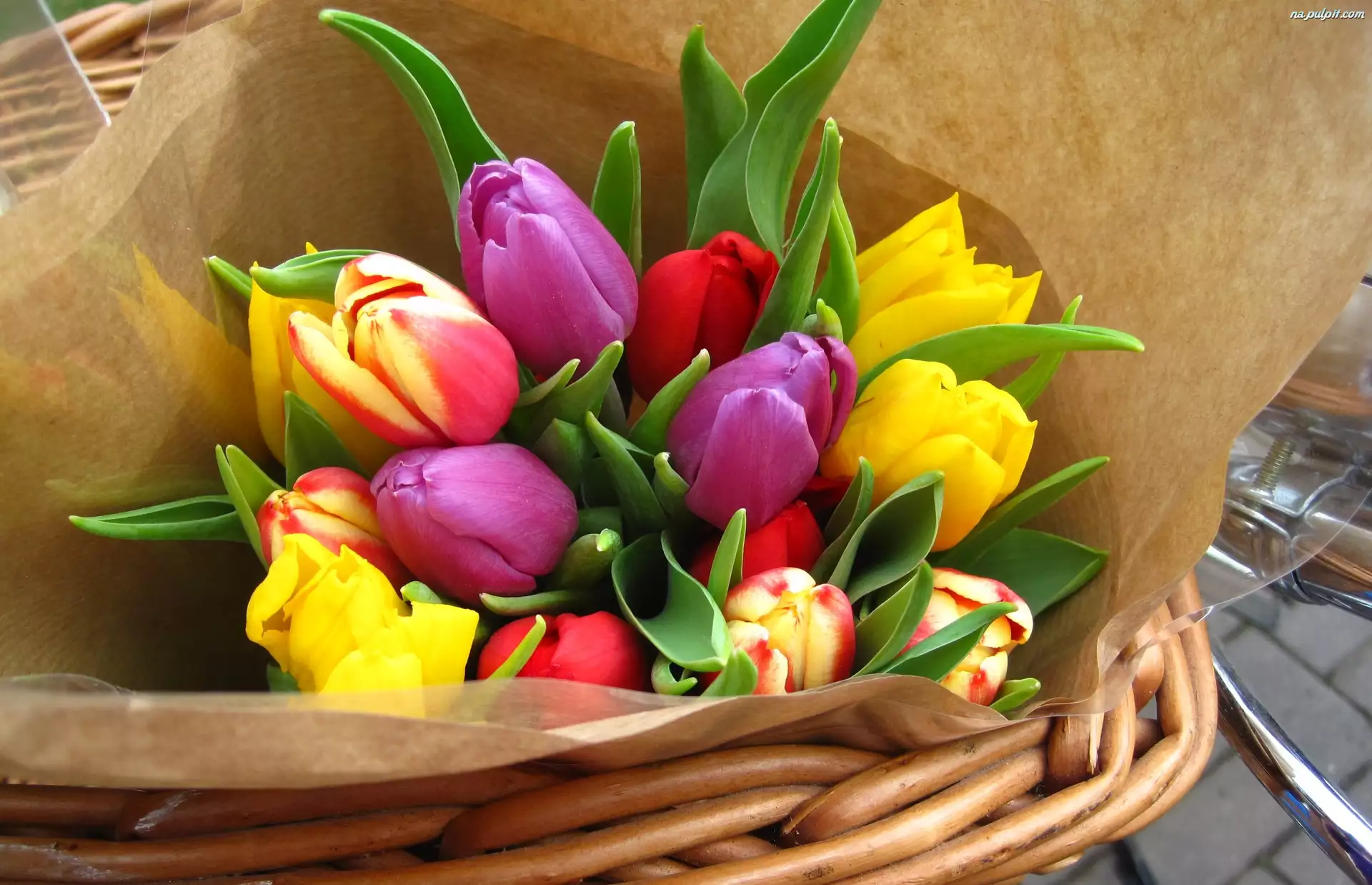 Koszyk, Tulipany