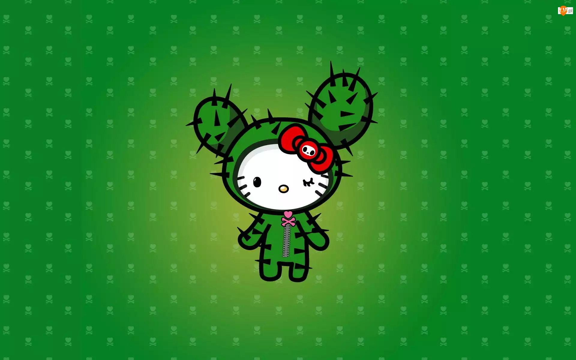 Hello Kitty, Kaktus