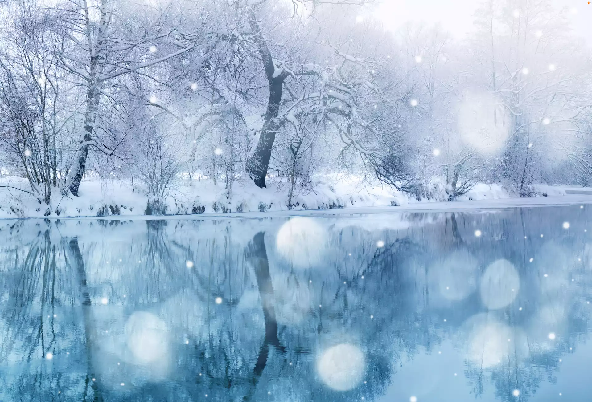 Woda, Zima, Śnieg, Drzewa