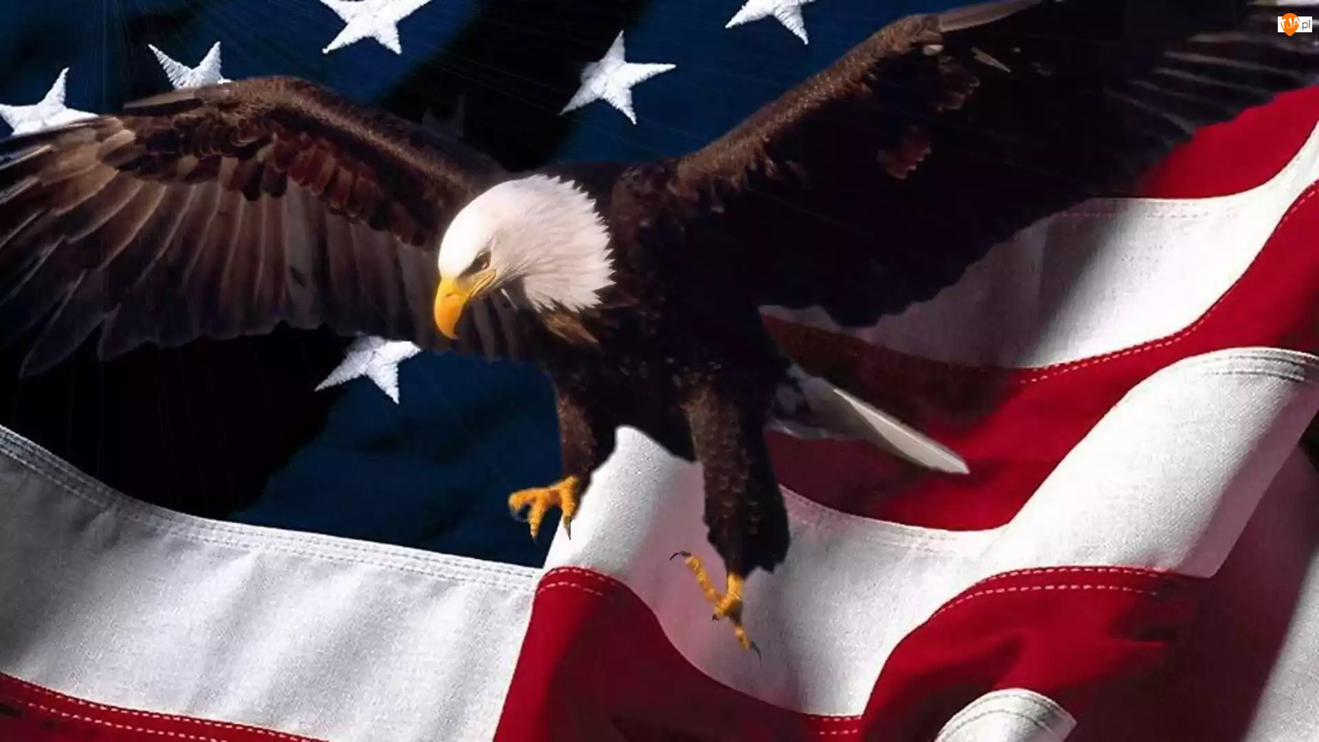 USA, Orzeł, Flaga