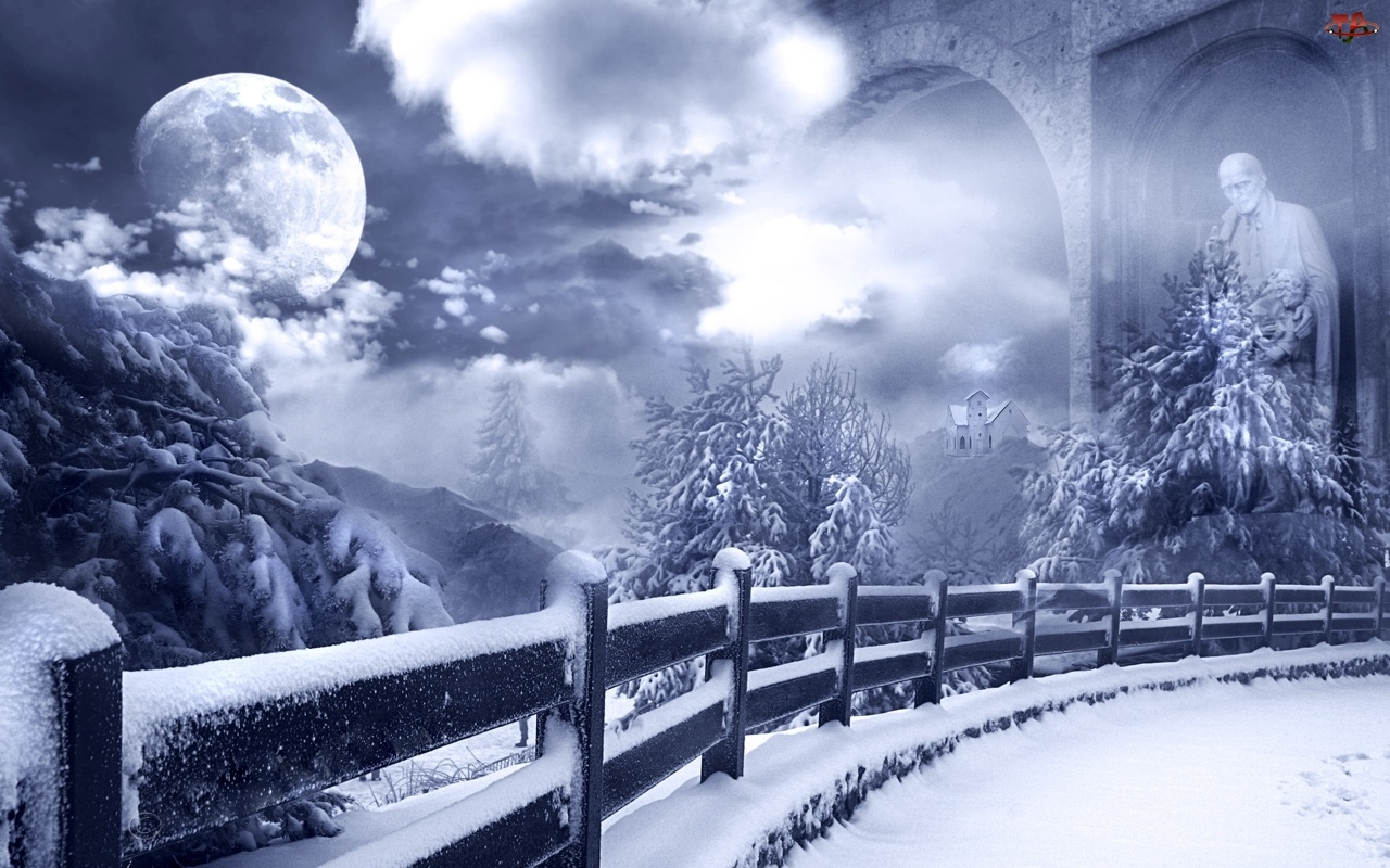 Noc, Księżyc, Zima, Drzewa