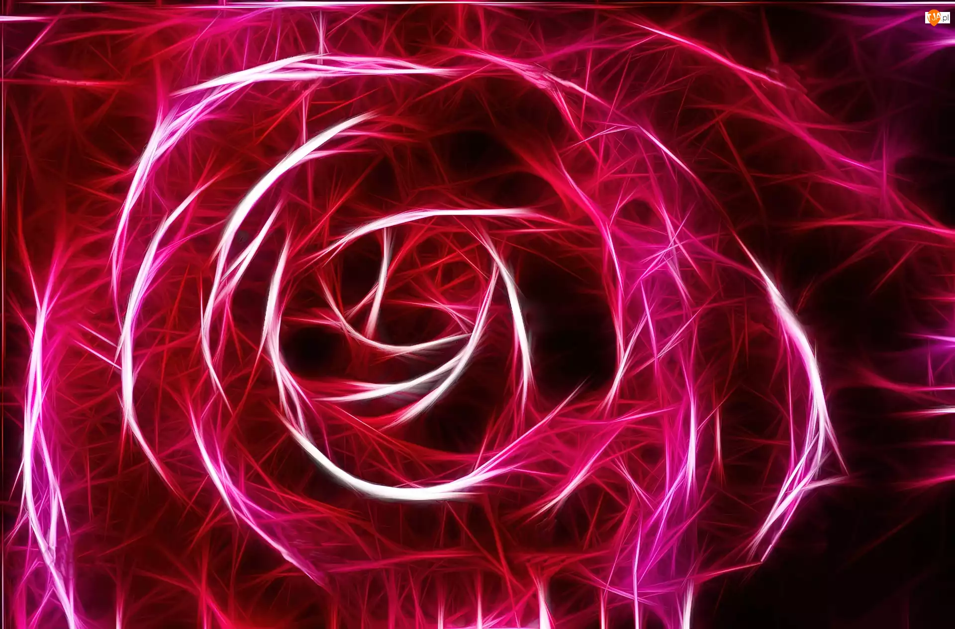 Róża, Fraktalius