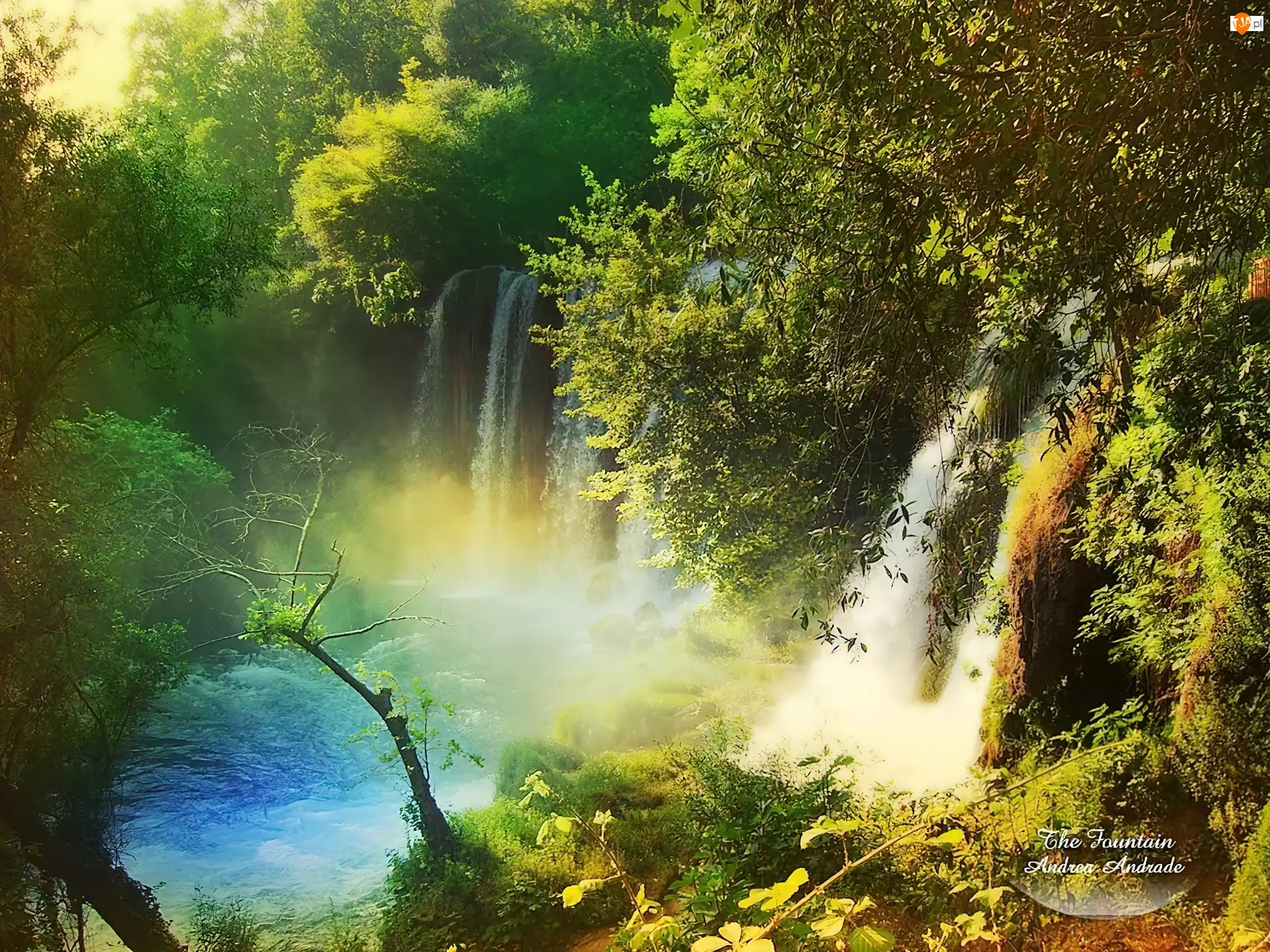 Las, Wodospady, Rzeka