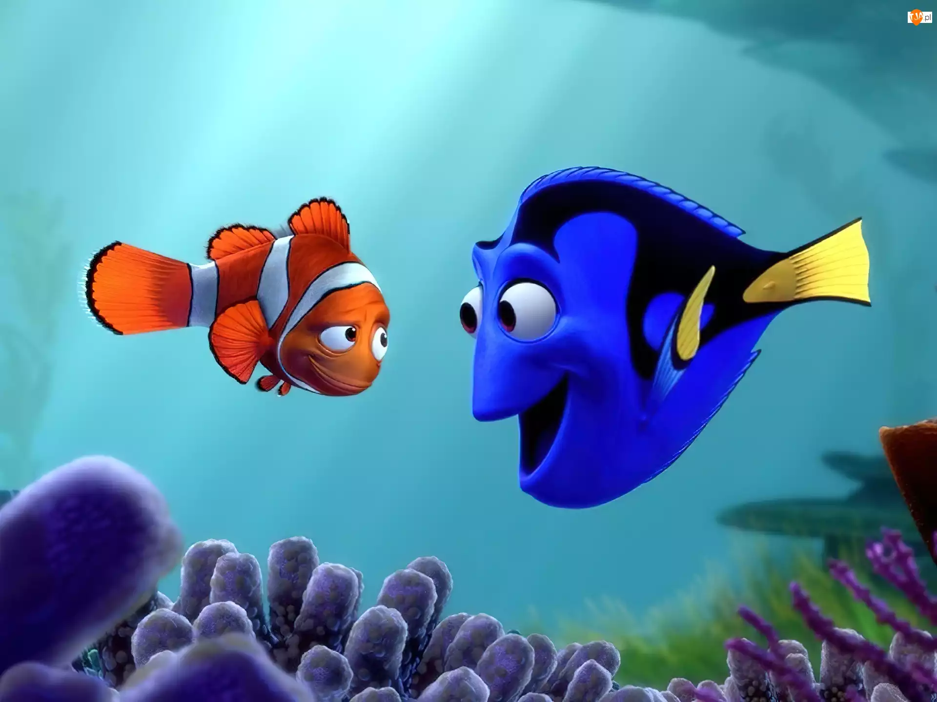 Dory, Gdzie jest Nemo, Finding Nemo, Nemo
