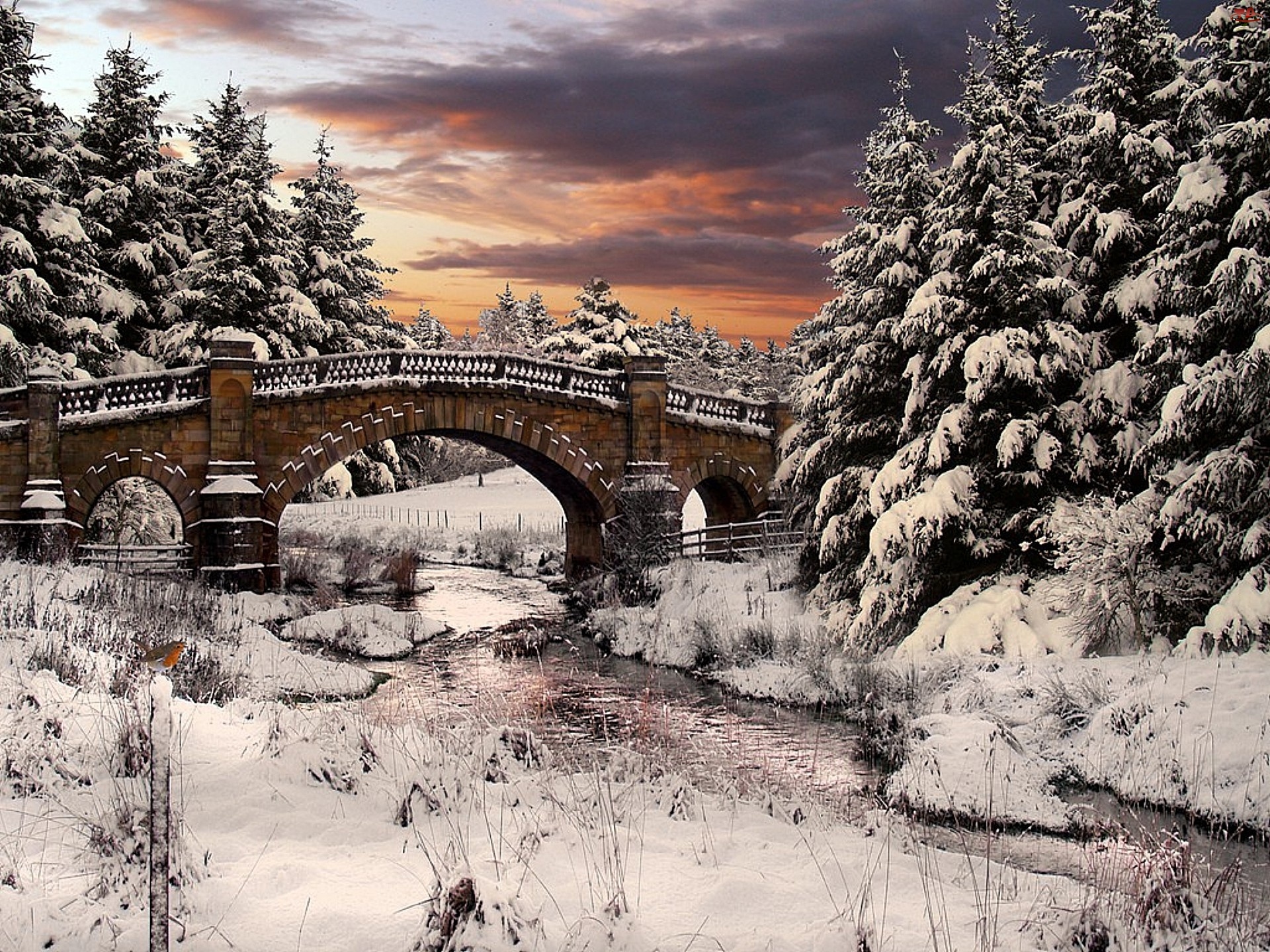 Zima, Most, Drzewa, Śnieg