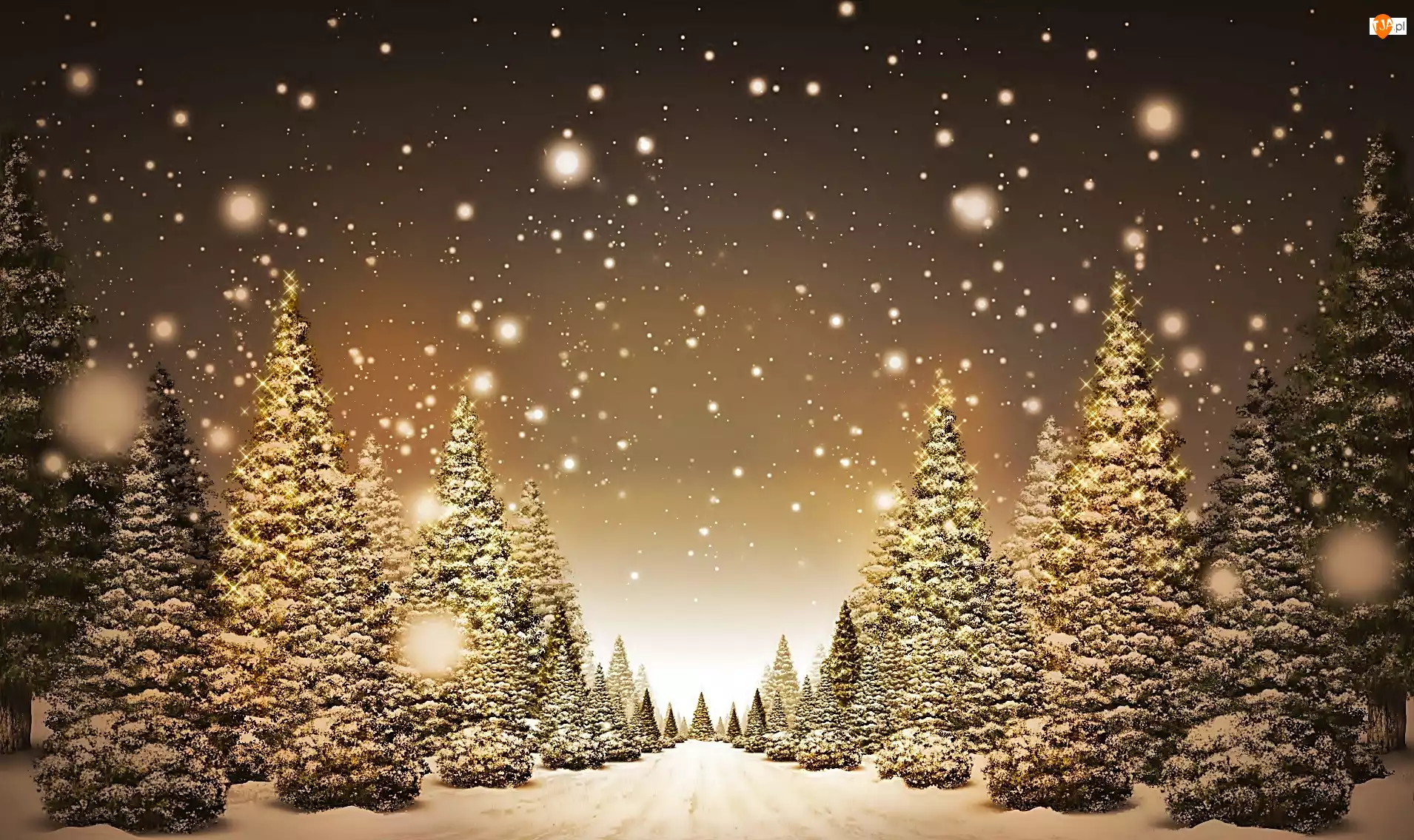 Choinki, Śnieg, Boże, Narodzenie