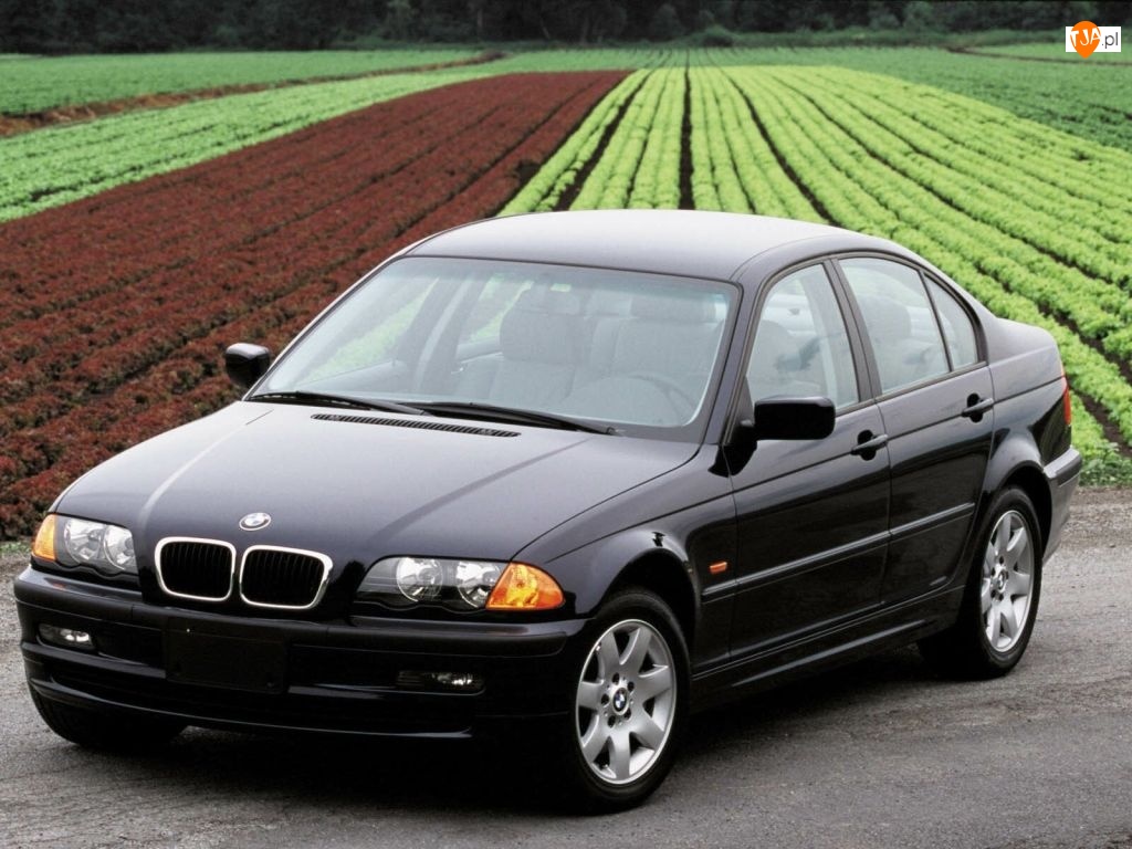 Czarne, Pole, BMW, Sedan