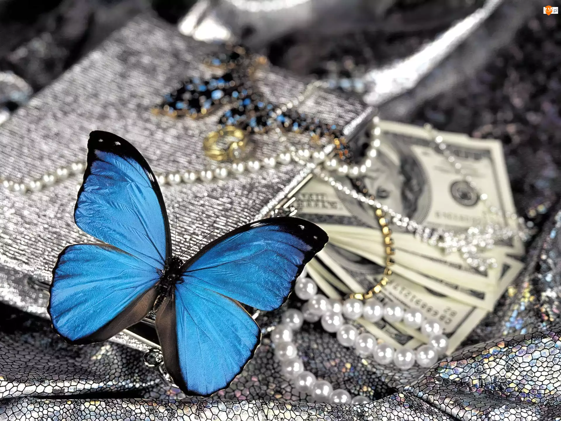Niebieski, Pieniądze, Motylek, Perły