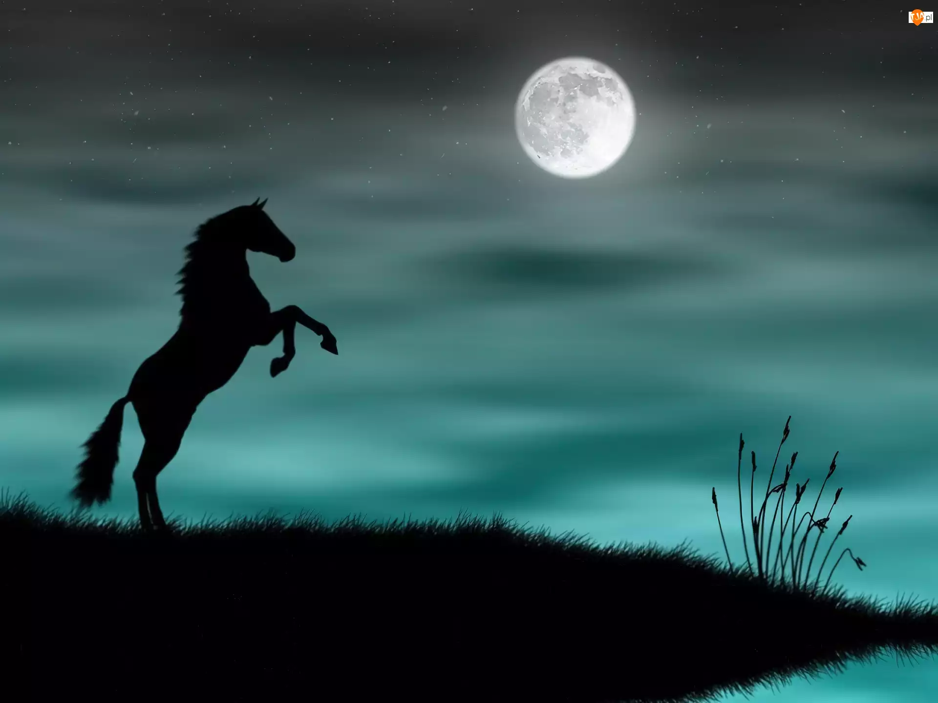 Noc, Koń, Ksieżyc