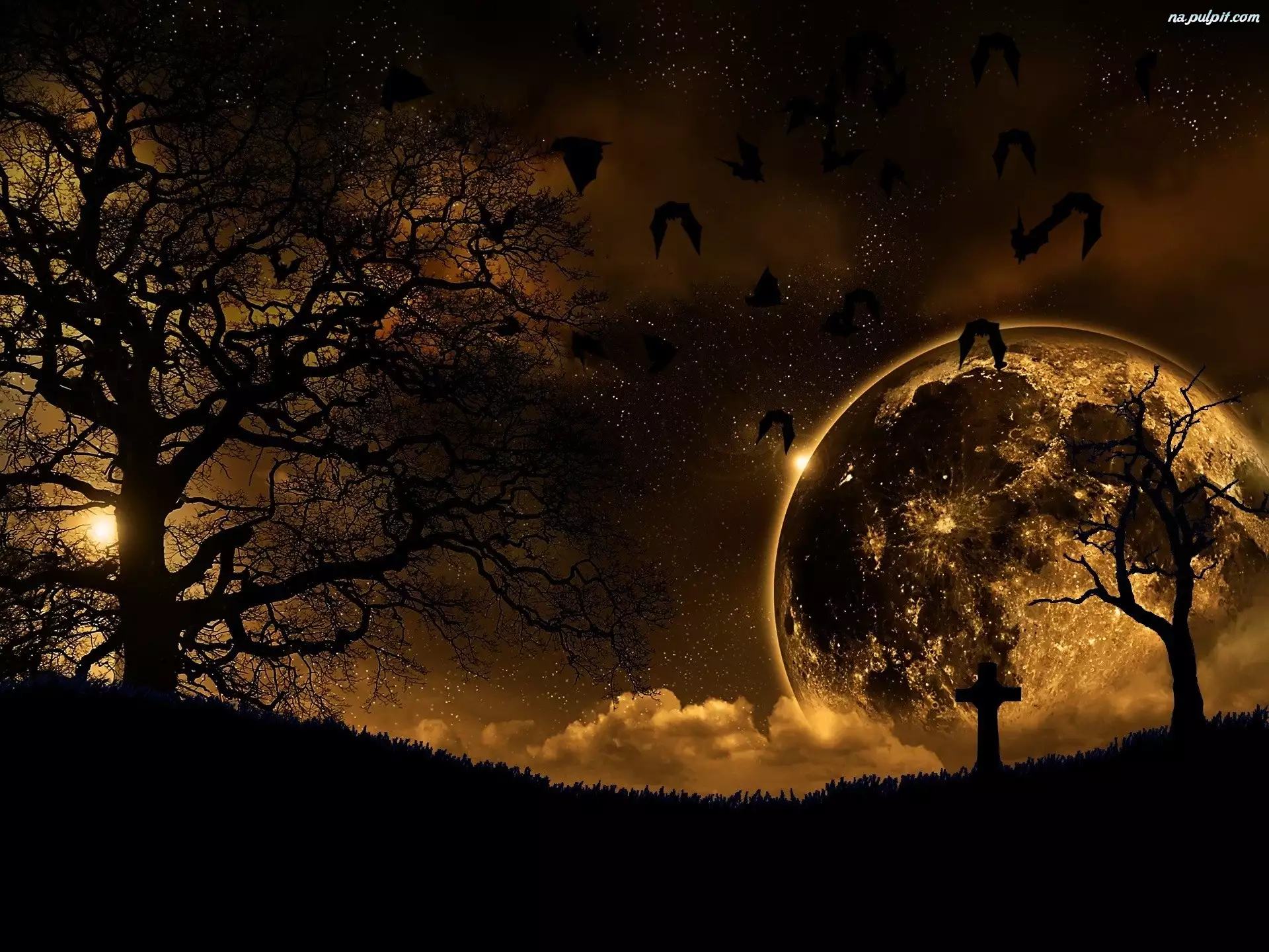 Księżyc, Nietoperze, Cmentarz, Noc, Drzewa
