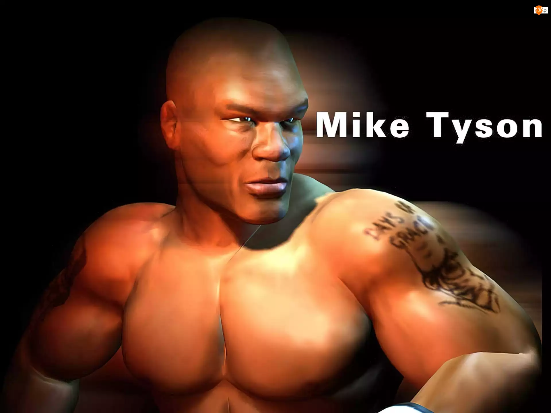 Mike Tyson, Boks