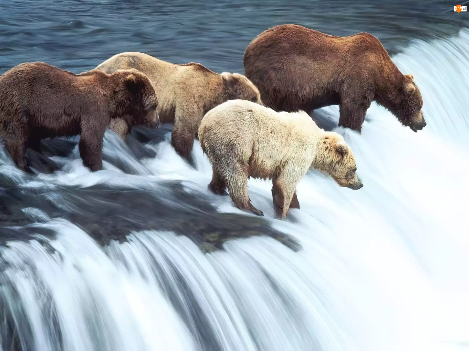 Niedźwiedzie, Wodospad