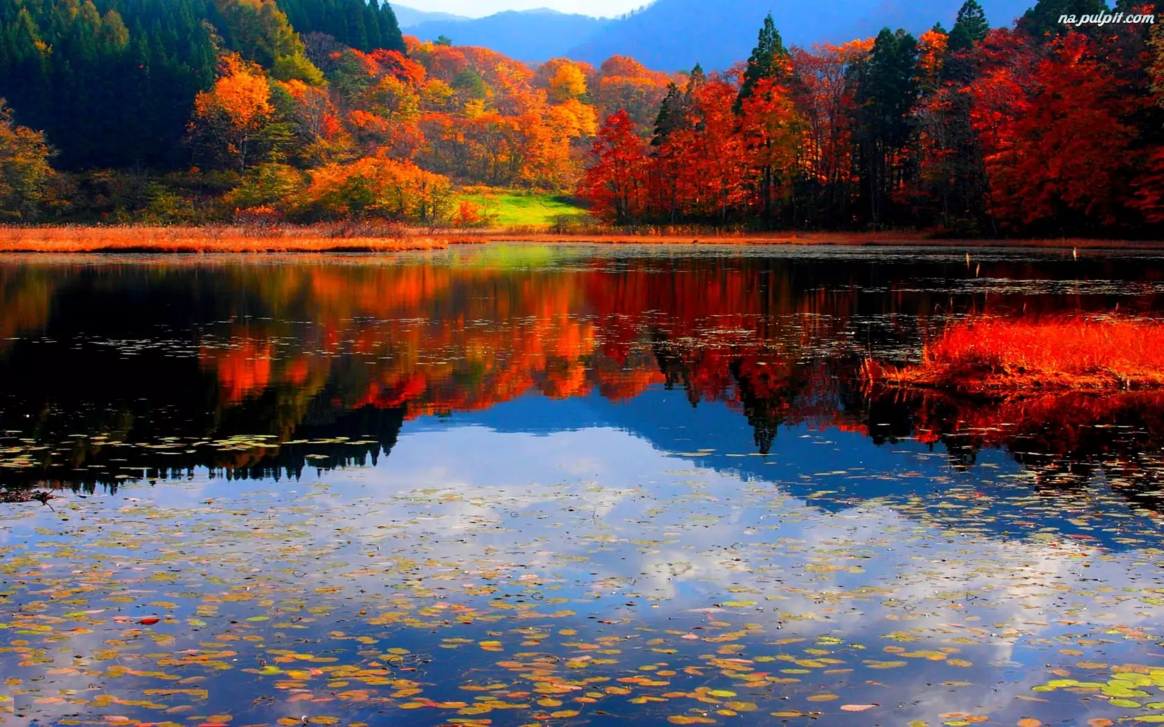Jezioro, Kolorowe, Drzewa