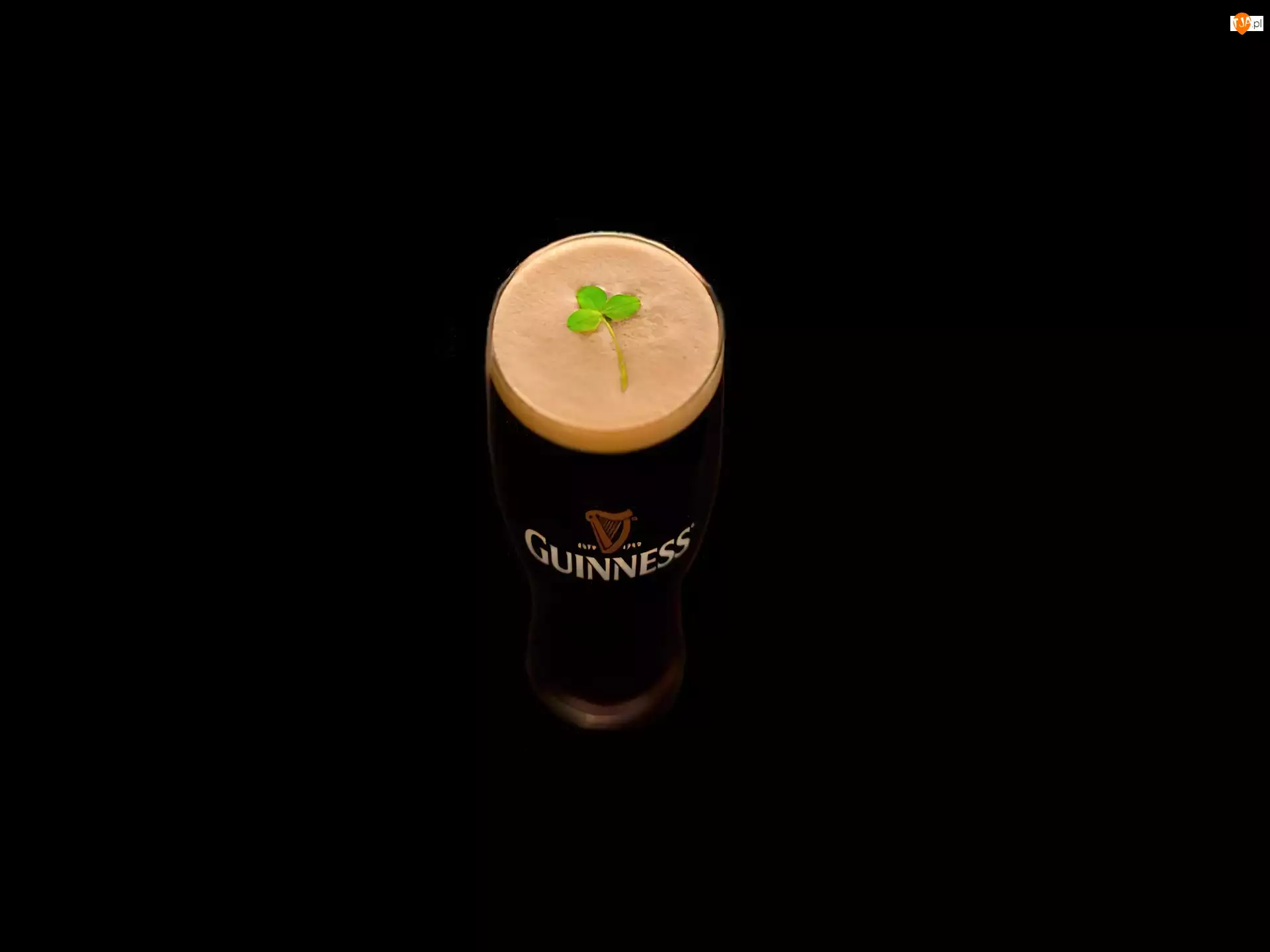 Piwo, Koniczynka, Guinness, Irlandia