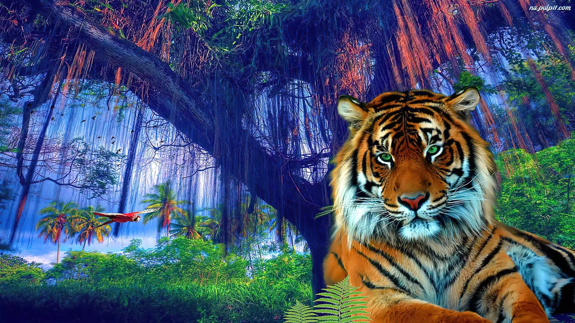 Dżungla, Tygrys