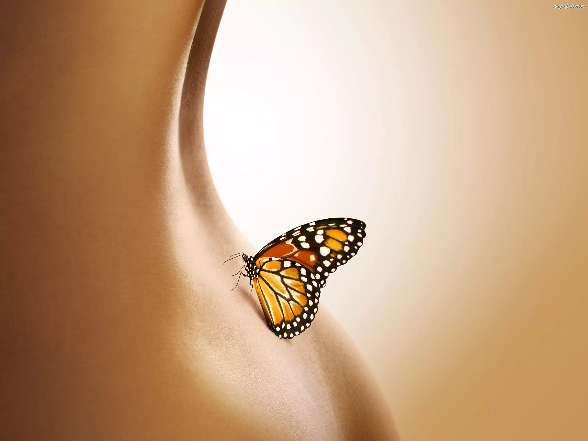 Kobiety, Motyl, Ciało