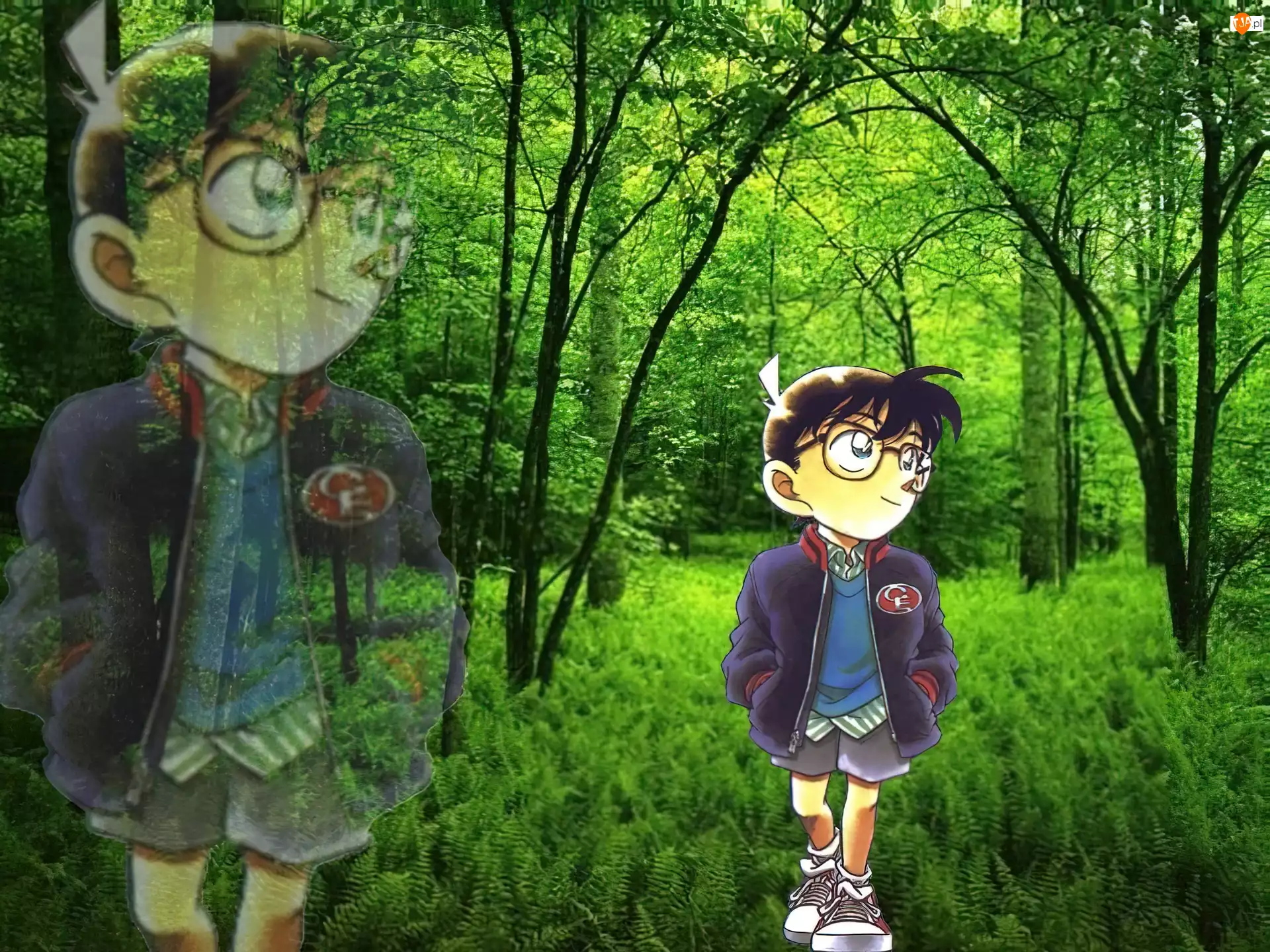 okulary, Detective Conan, postać, las