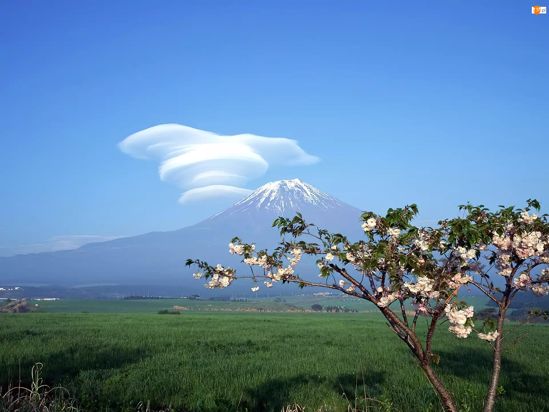 Góra, Chmura, Fuji, Fantazyjna